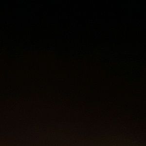 Meet your Posher, Eddie